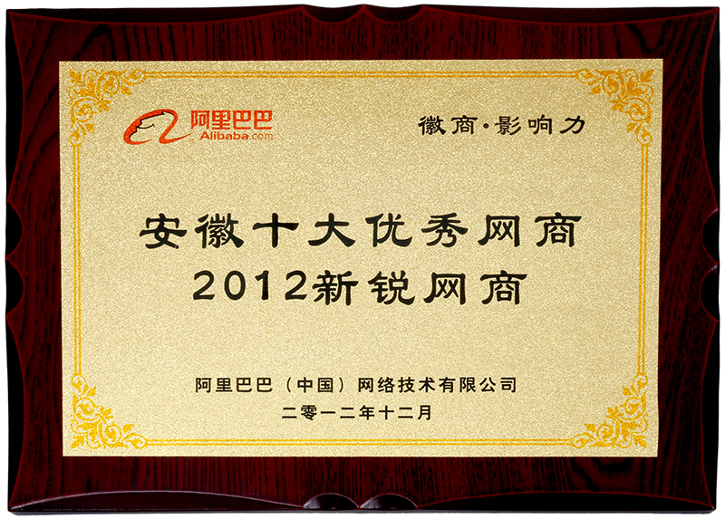 Alibaba Anhui ten outstanding network 2012 cutting-edge network